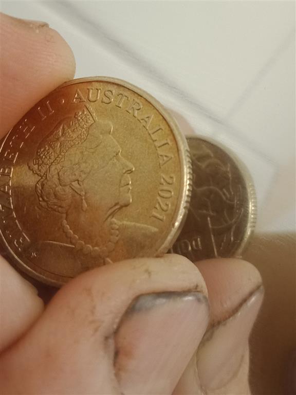 The-Big-Noodle:-Australian-1-Dollar-Coins